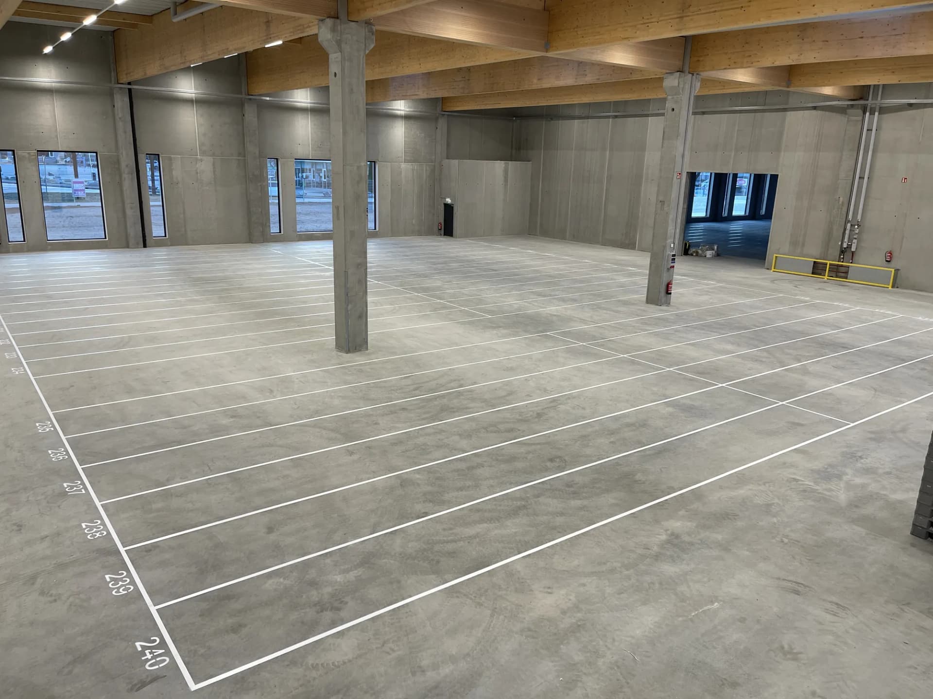 Hallenboden mit weißen Spielfeld-Markierungen